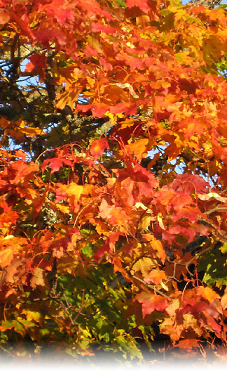 See larger picture...