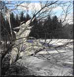 See larger picture...