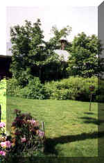 See larger picture...